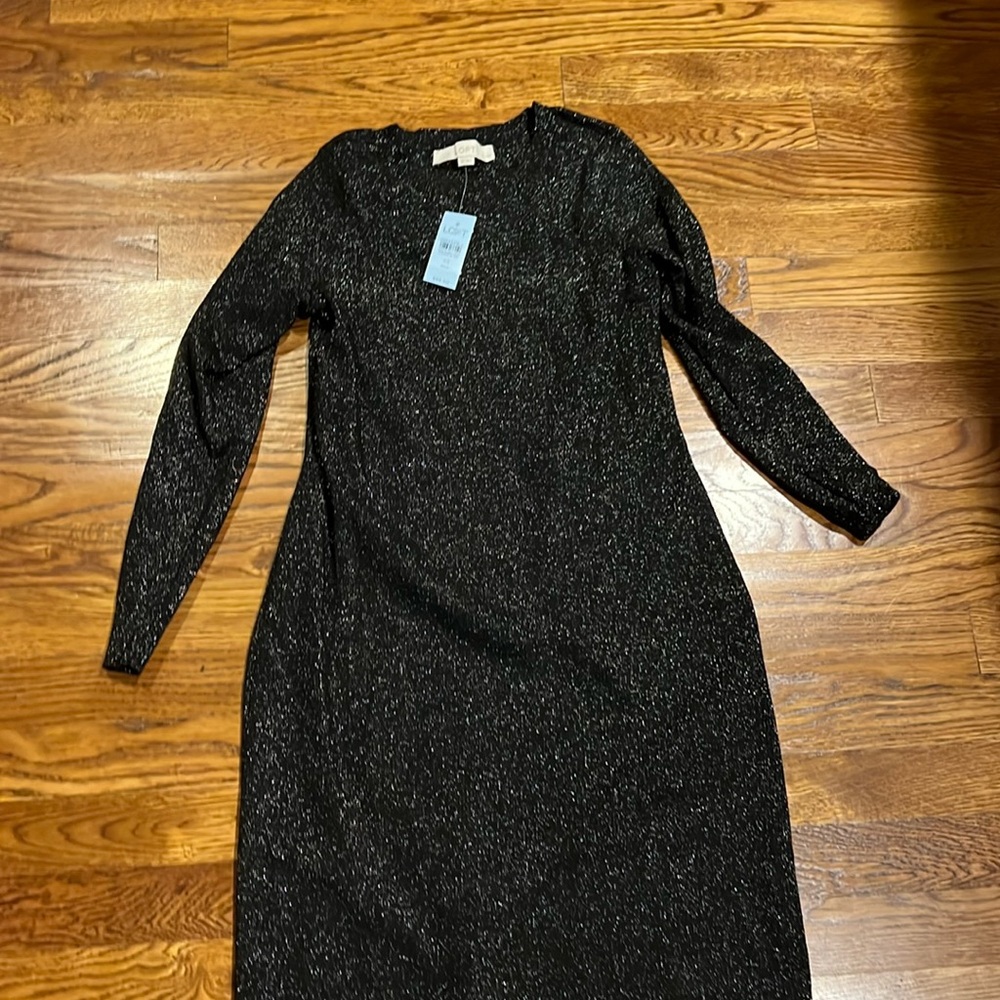 Anne Taylor loft sweater dress